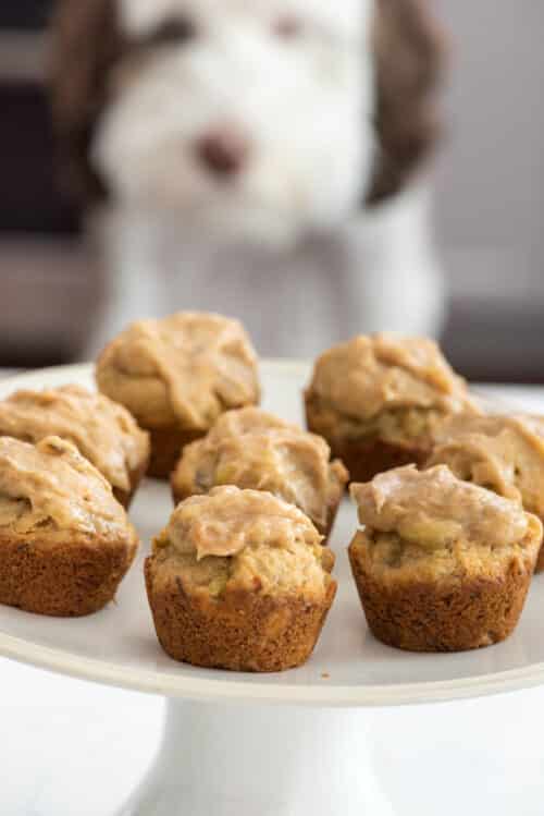 Peanut Butter Pupcakes {Whatever Friday} - Crazy for Crust
