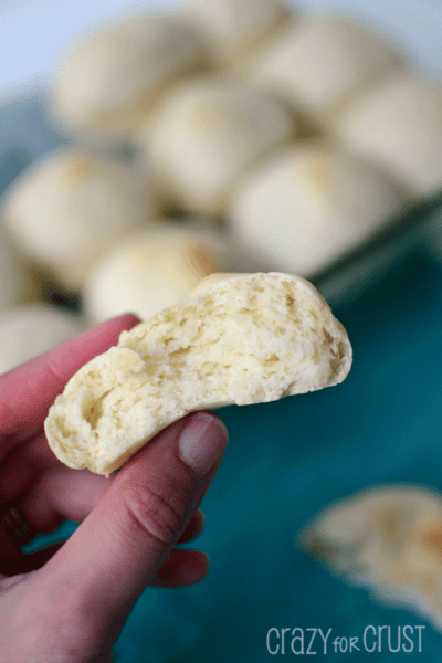 45-minute-dinner-rolls-crazy-for-crust