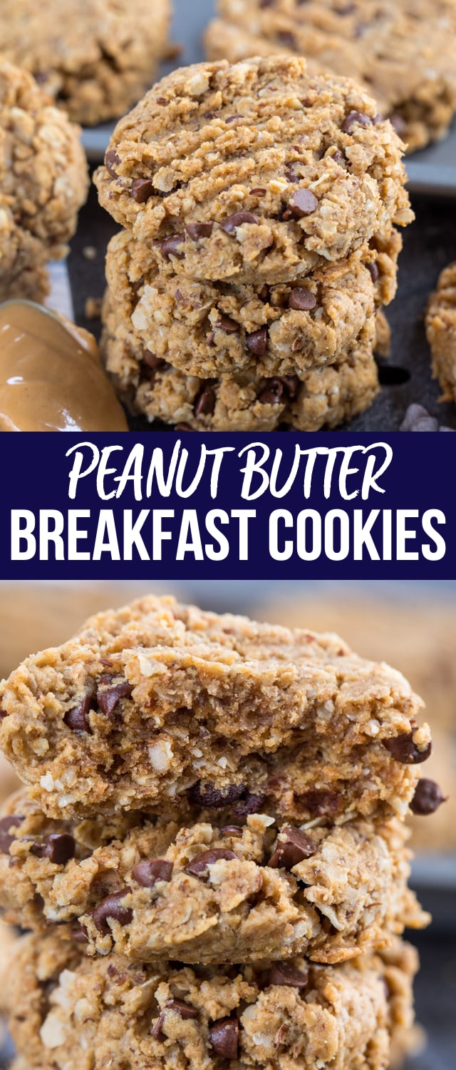 Peanut Butter Breakfast Cookies - Crazy for Crust