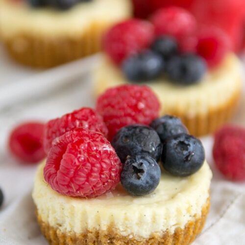 Mini Fruit Tart Cheesecakes - Crazy for Crust