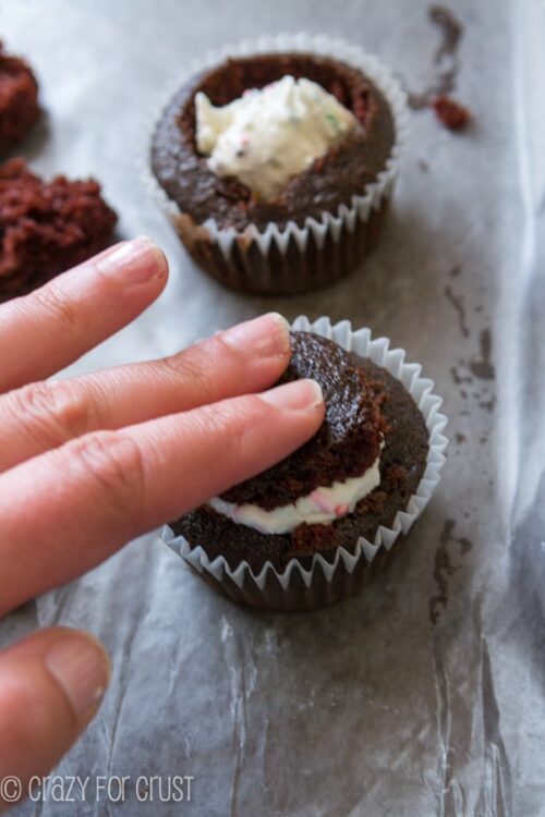 Ice Cream Cupcakes Crazy For Crust 2047