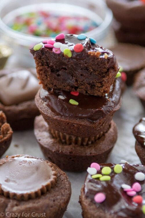 Best Brownie Bites Recipe Crazy For Crust