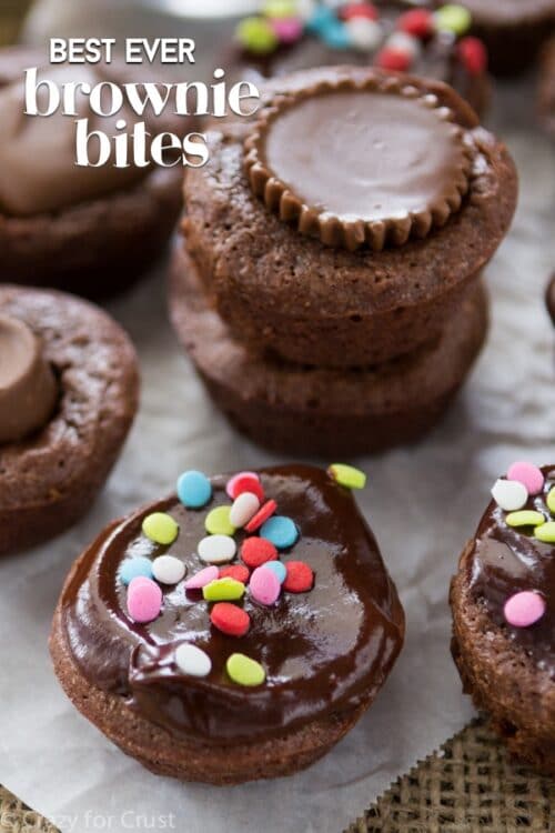 Best Brownie Bites Recipe Crazy For Crust 1237