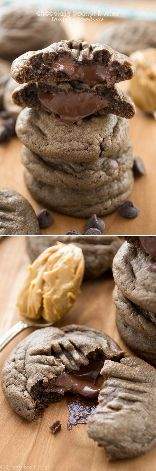 Chocolate Peanut Butter Truffle Cookies - Crazy for Crust