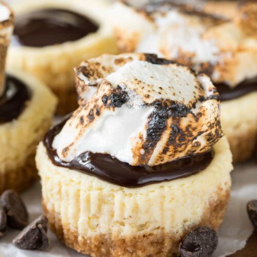 Mini S Mores Cheesecakes Crazy For Crust