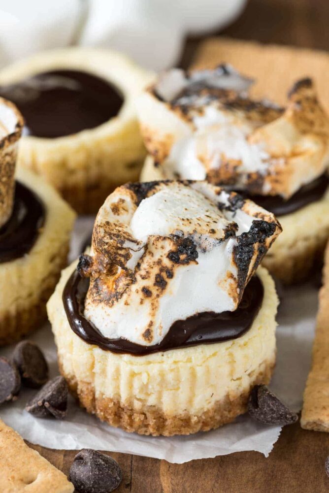 Mini S'mores cheesecakes with toasted marshmallow on top