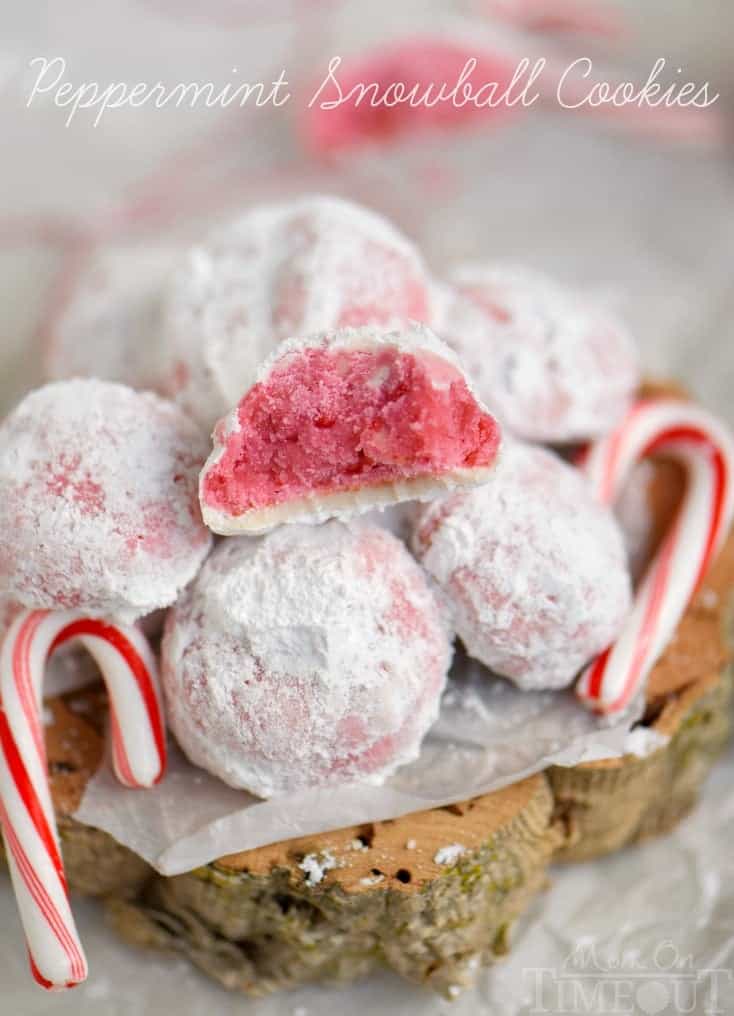 24 Must Make Snowball Cookie Recipes - Crazy for Crust