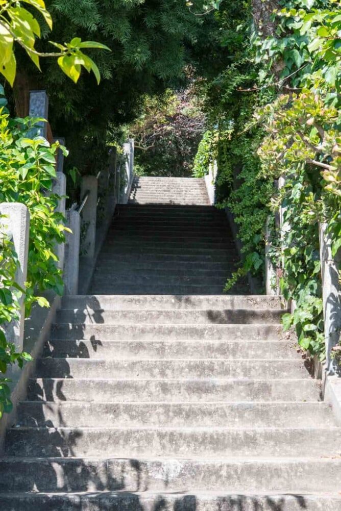 Hidden Steps to Coit Tower - Crazy for Crust