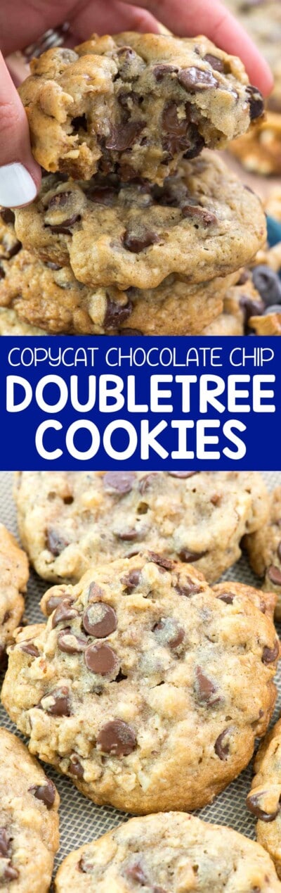 DoubleTree Chocolate Chip Cookies Recipe - Crazy for Crust