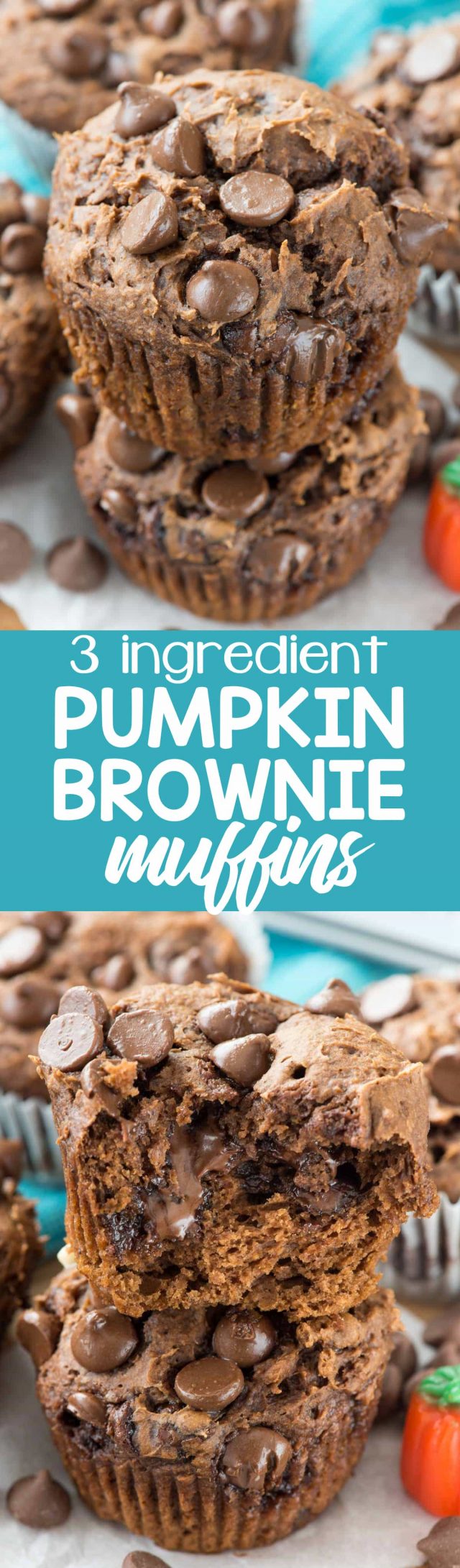 3 Ingredient Pumpkin Brownie Muffins - Crazy for Crust