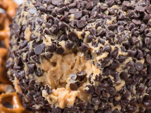 Chocolate Chip Cookie Dough Dip (or Cheeseball)
