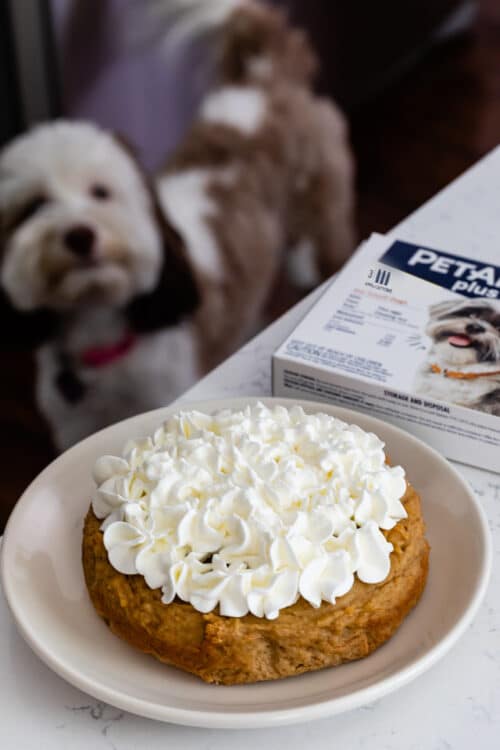 Homemade Dog Birthday Cake - Crazy for Crust