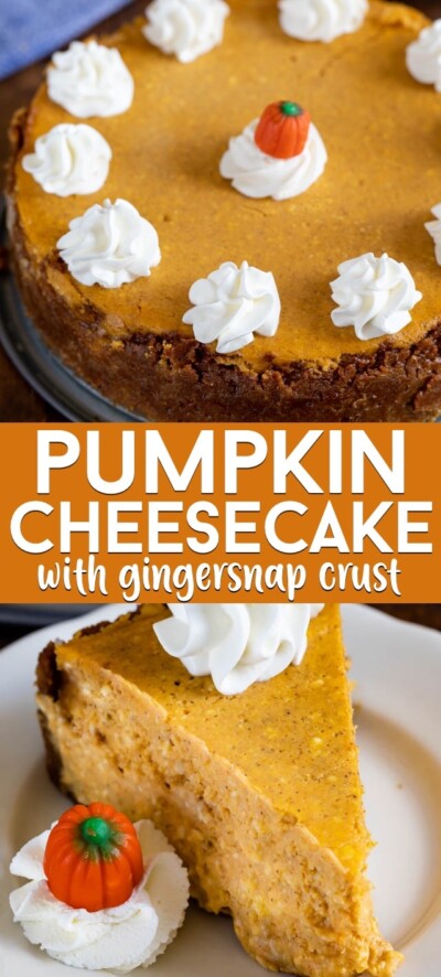 Pumpkin Cheesecake with gingersnap crust - Crazy for Crust