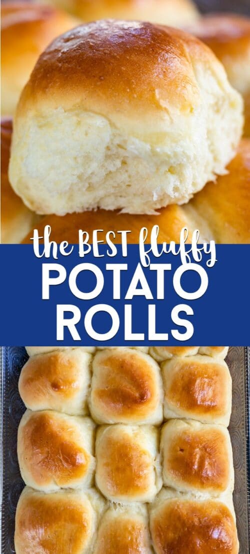 The BEST Fluffy Potato Rolls Recipe - Crazy for Crust