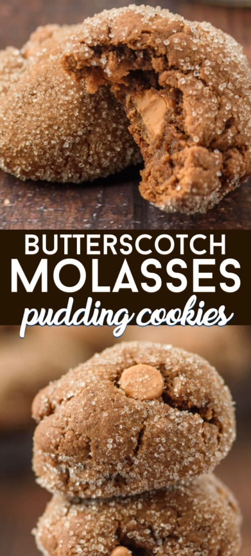 Butterscotch Molasses Pudding Cookies - Crazy for Crust