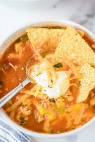 Salsa Chicken Soup (WW recipe) - Crazy for Crust