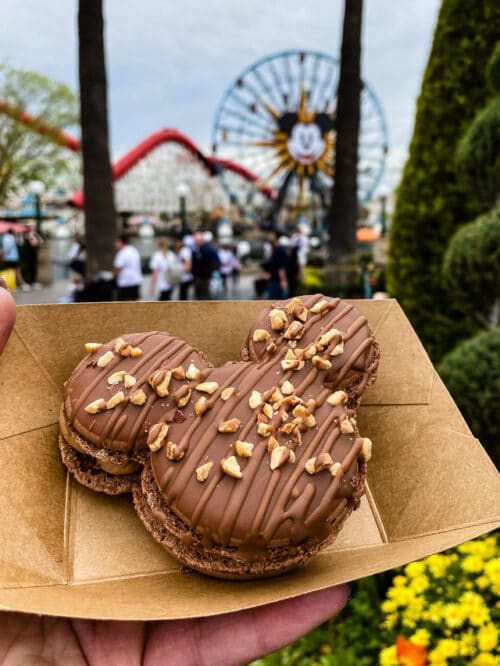 Disney California Food and Wine Festival 2020 - Crazy for Crust