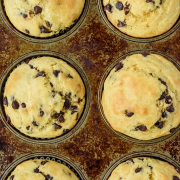 Chocolate Chip Pancake Muffins Perfect Breakfast Crazy For Crust