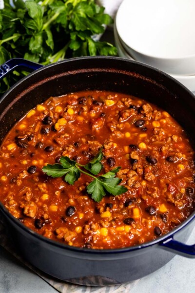 Turkey Chili Recipe (30 minute meal) - Crazy for Crust