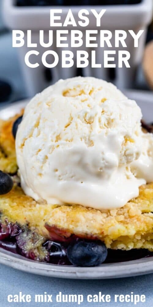 Easy Blueberry Cobbler Recipe (Dump Cake) - Crazy for Crust