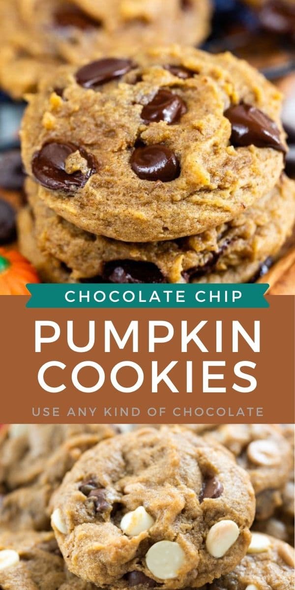 Pumpkin Chocolate Chip Cookies - Crazy for Crust