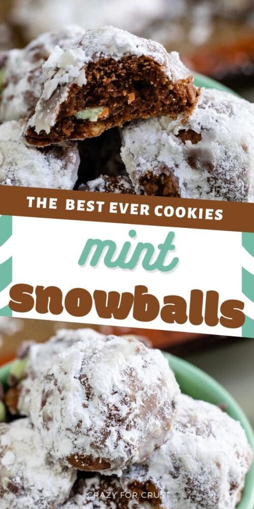 Chocolate Mint Snowball Cookies - Crazy for Crust