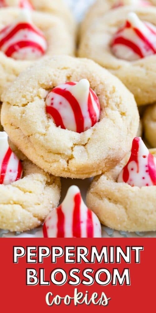EASY Peppermint Blossom Cookies - Crazy for Crust