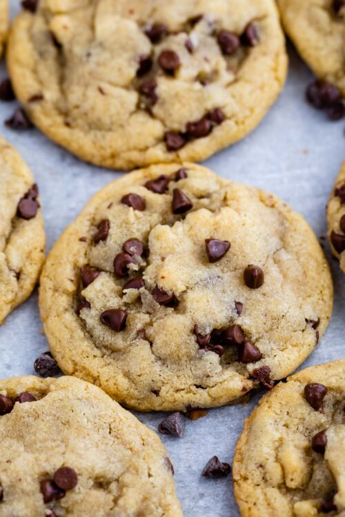 Small Batch Chocolate Chip Cookies - Crazy for Crust