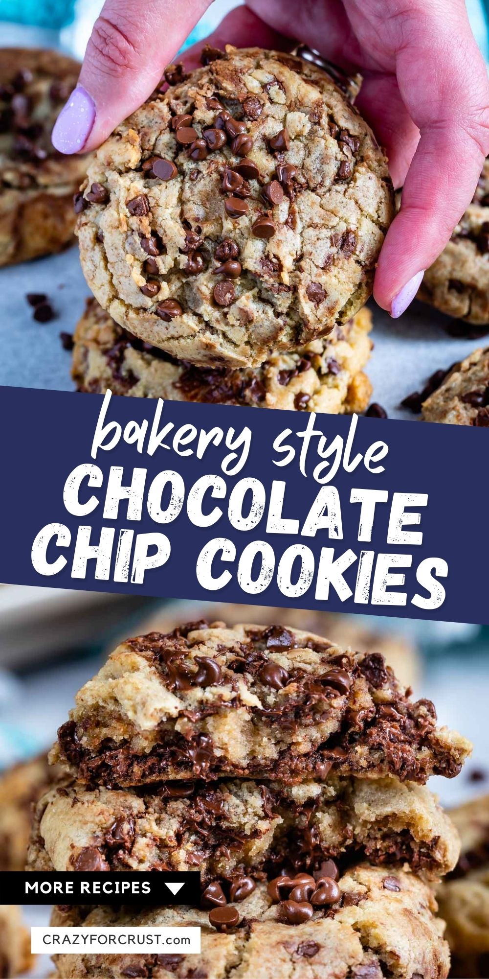 XL Bakery Style Chocolate Chip Cookies 