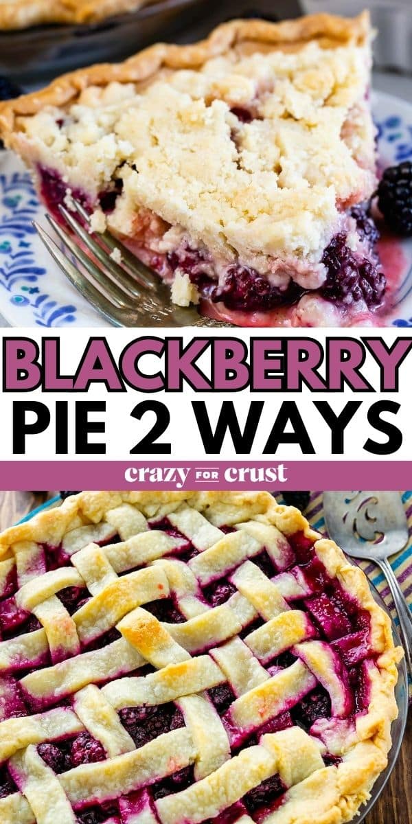 blackberry pie graphic