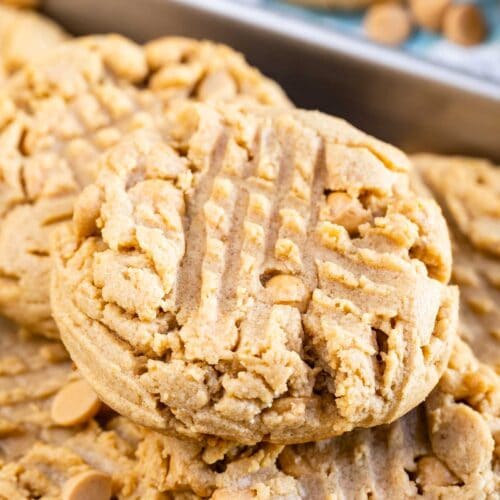 Bakery Style XL Peanut Butter Cookies – Tina's Chic Corner