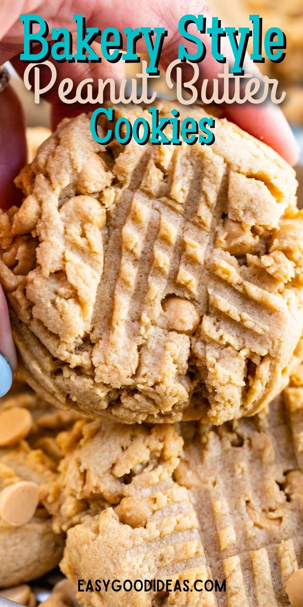 https://www.crazyforcrust.com/wp-content/uploads/2021/08/Bakery-Style-Peanut-Butter-Cookies.jpg