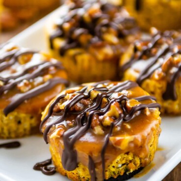 Close up shot of mini turtle pumpkin cheesecakes