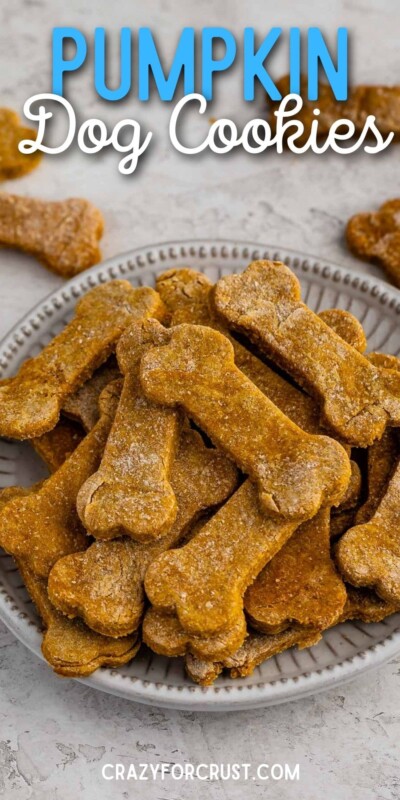 Homemade Dog Cookies Recipe - Crazy for Crust