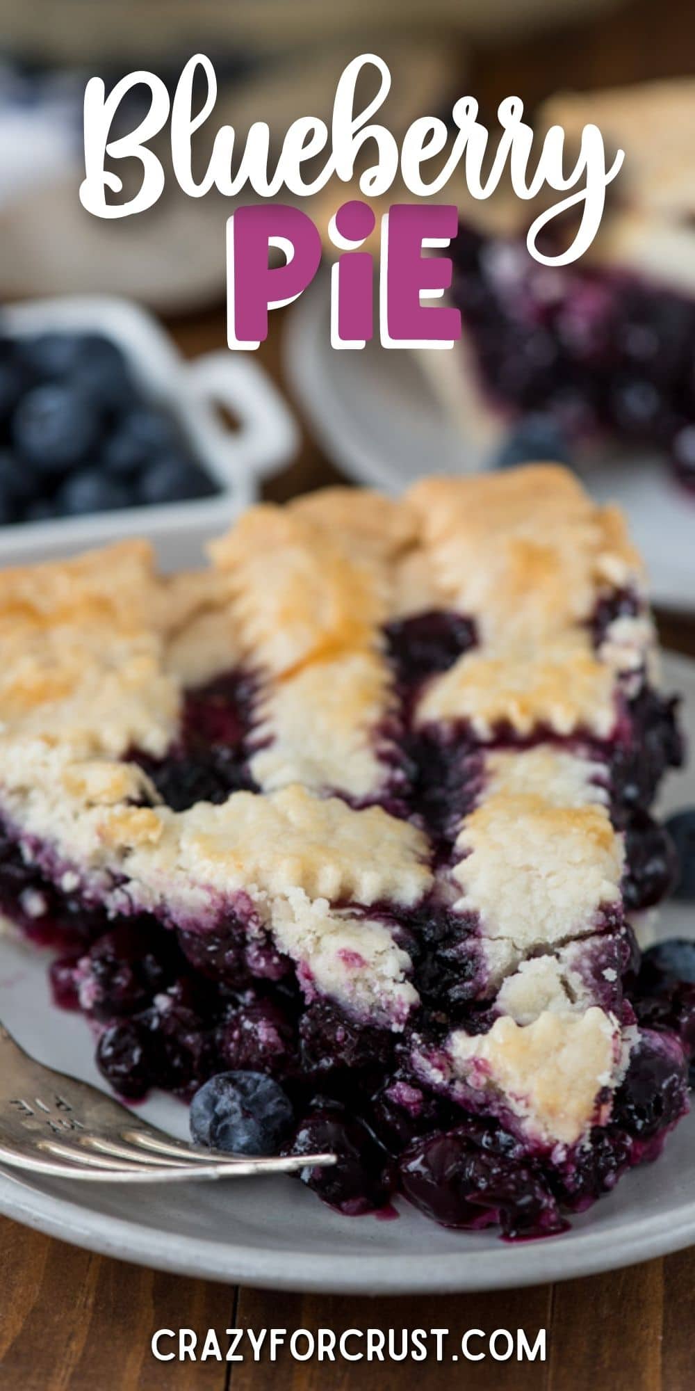 Blueberry Pie Recipe - Crazy for Crust