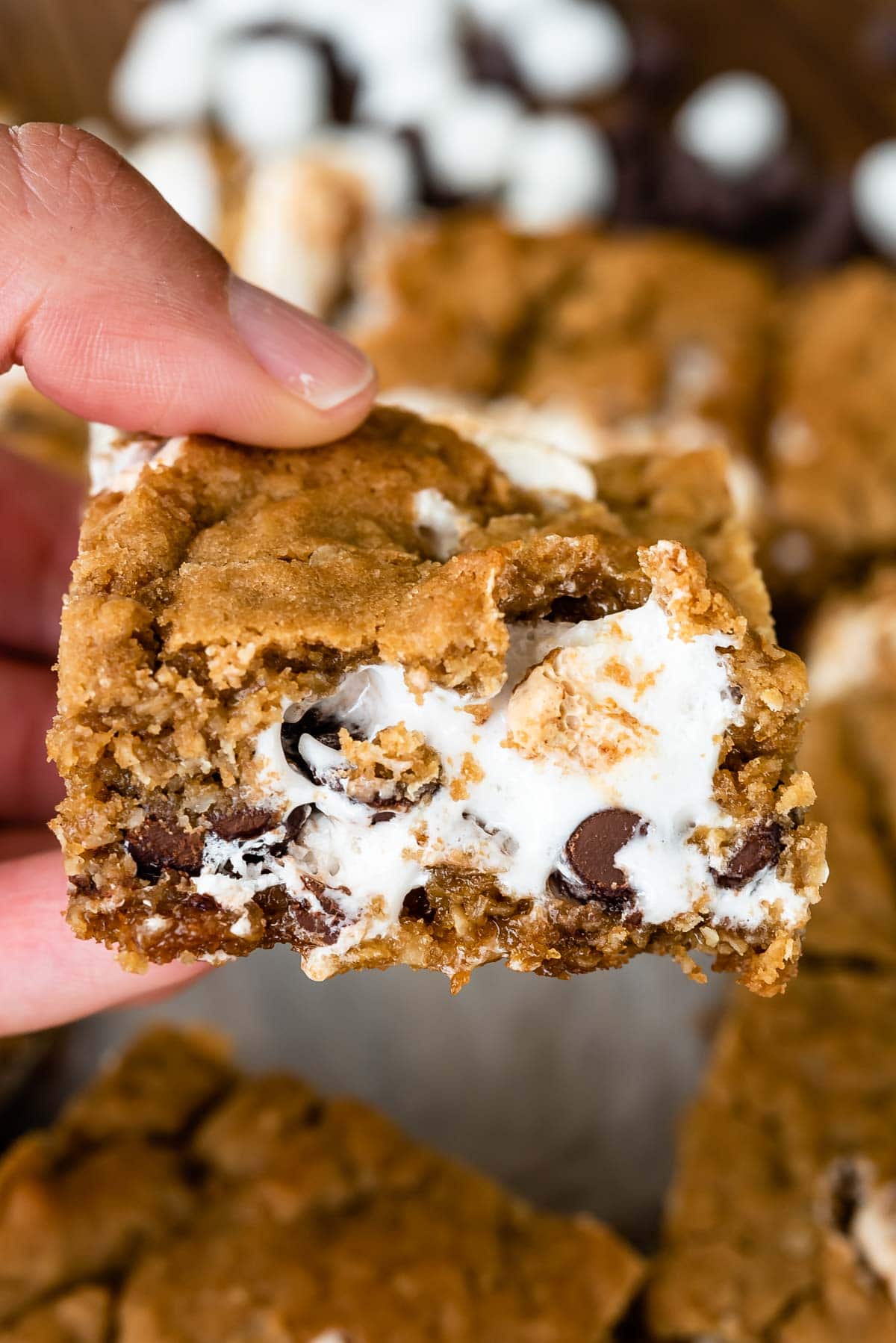 Oatmeal Cookie S'mores Bars - Crazy for Crust