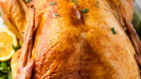 Everything You Can Do with Oven Bags - Except Cook A Turkey - The Trek