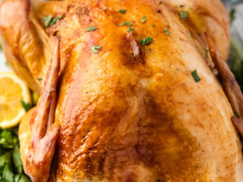 Thanksgiving Turkey in a Bag and Other Gimmicks We've Tried - The