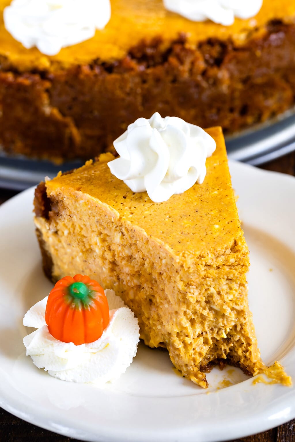 Pumpkin Cheesecake with gingersnap crust - Crazy for Crust