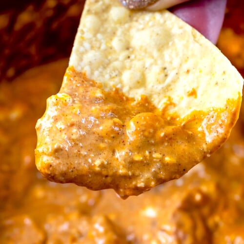 2-ingredient Crock Pot Cheese Dip Recipe - Crazy for Crust