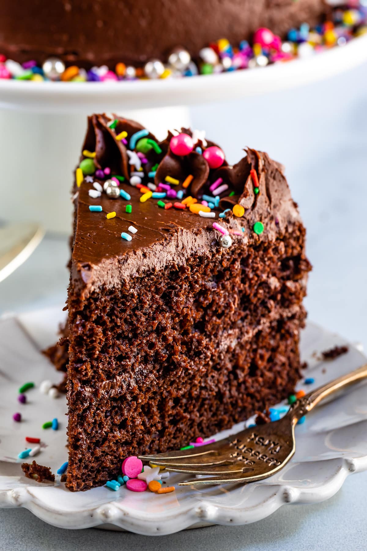 https://www.crazyforcrust.com/wp-content/uploads/2023/03/chocolate-cake-recipe-10.jpg