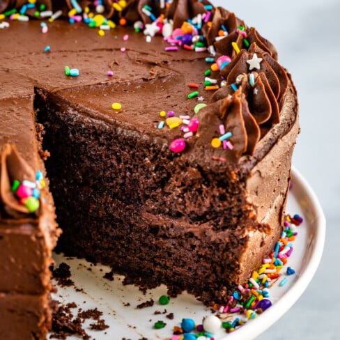 BEST Simple Chocolate Cake Recipe - Crazy for Crust