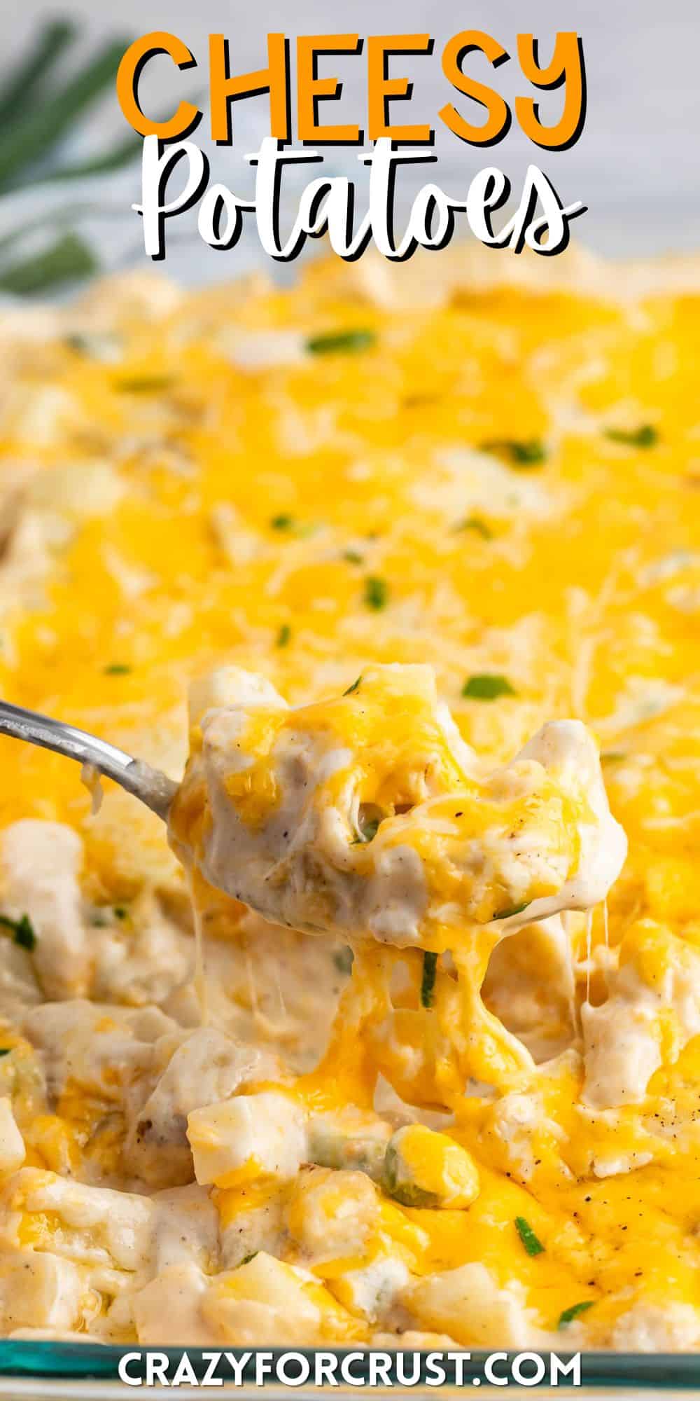 cheesy potato casserole in a clear casserole pan with green garnish with words on the image.