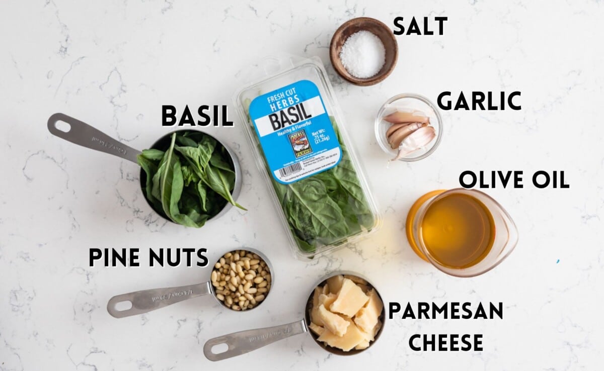 ingredients in pesto laid out on a white counter.