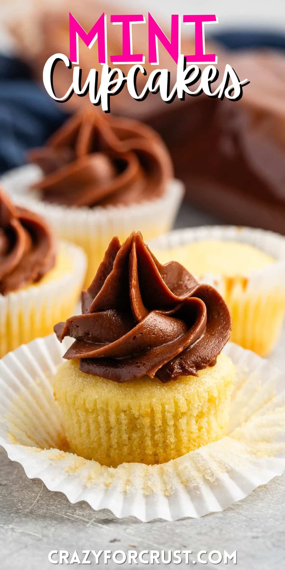 mini vanilla cupcakes with chocolate frosting with words on the image.