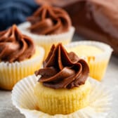 mini vanilla cupcakes with chocolate frosting.