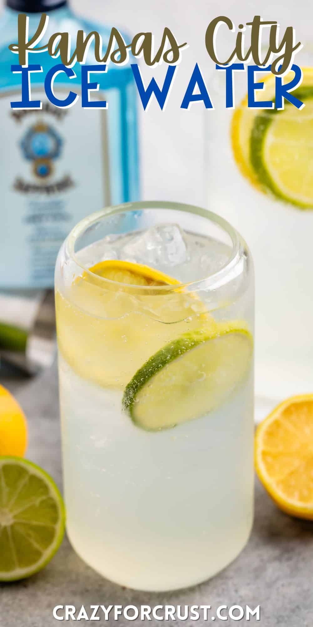 glass cup with clear drink inside and with sliced lemons and limes inside with words on the image.