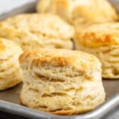 Close-up of freshly baked, golden-brown biscuits on a metal baking tray. The biscuits are flaky and layered, with a soft texture. The background is a blurred, light gray surface with a hint of a striped cloth.