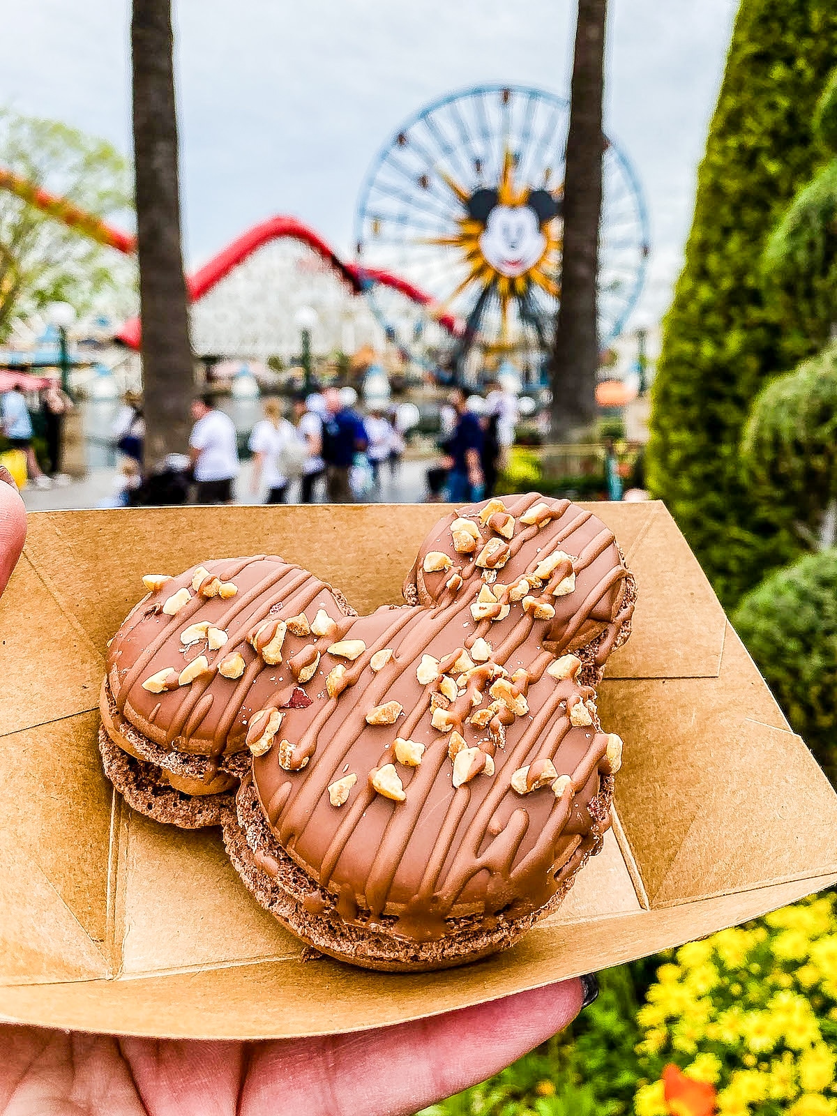 A hand holds a paper tray with a chocolate macaron shaped like a famous characters head, topped with chopped nuts. An amusement park with a large Ferris wheel and colorful roller coaster is blurred in the background.