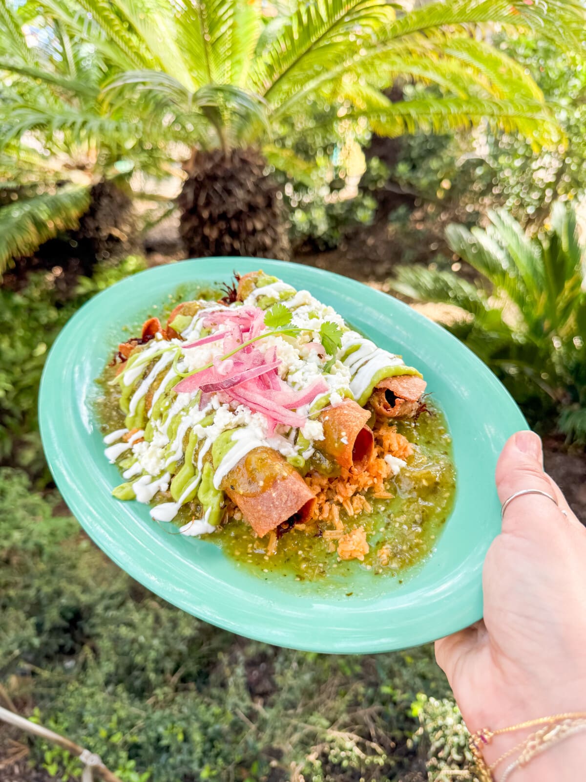 A hand holding a plate with crispy tacos drizzled with green sauce, white cream, and sprinkled with crumbled cheese. Topped with pickled onions. The background features lush green foliage and palm leaves.